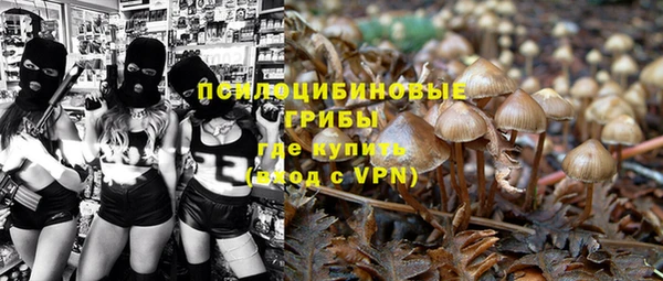 шишки Каменногорск