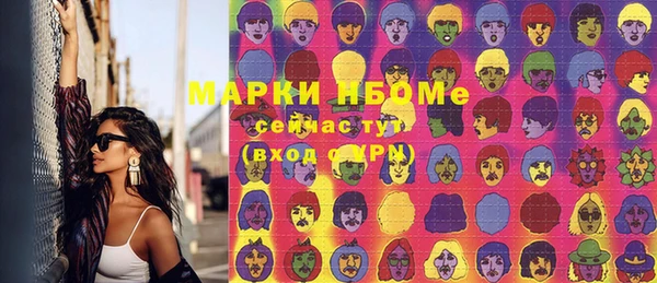 шишки Каменногорск