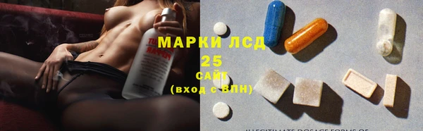 шишки Каменногорск
