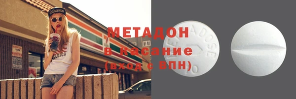 шишки Каменногорск