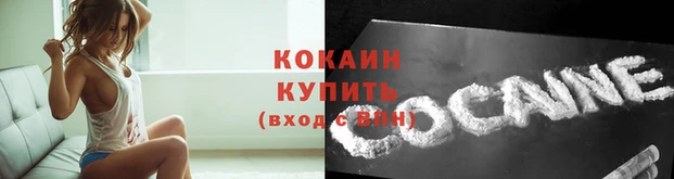 a pvp Каменка