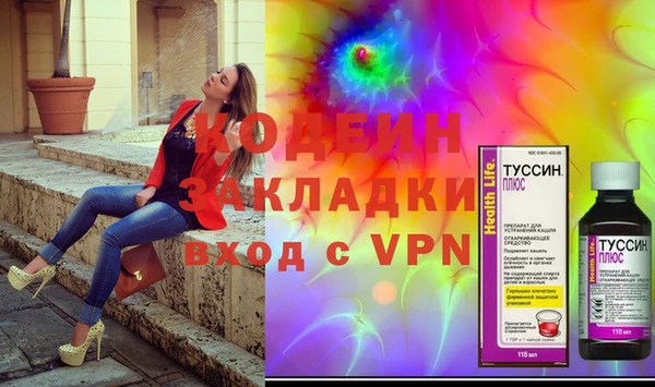 шишки Каменногорск