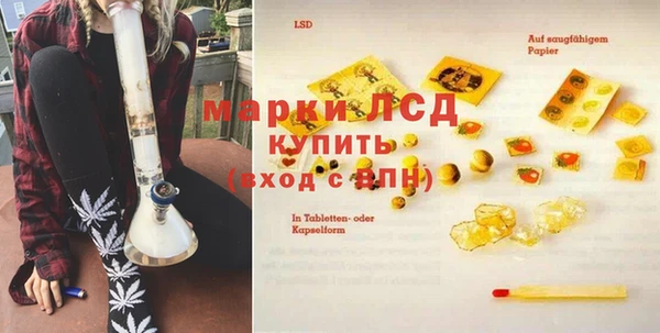 a pvp Каменка