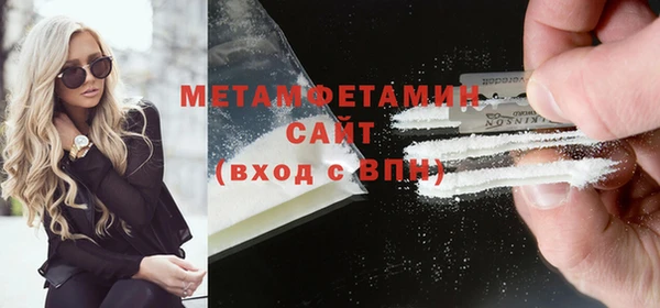 шишки Каменногорск