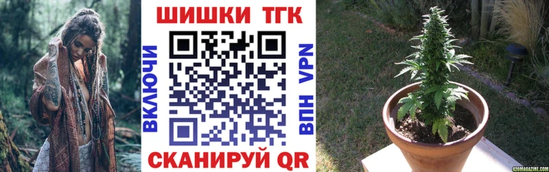 Конопля AK-47  Купить закладки  Железногорск-Илимский 